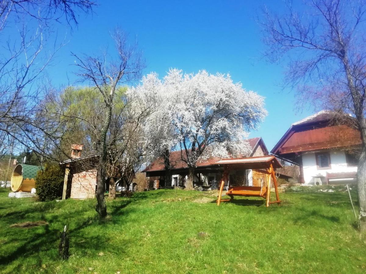 Fecskefeszek Vendeghaz Oriszentpeter Hotel Exterior photo